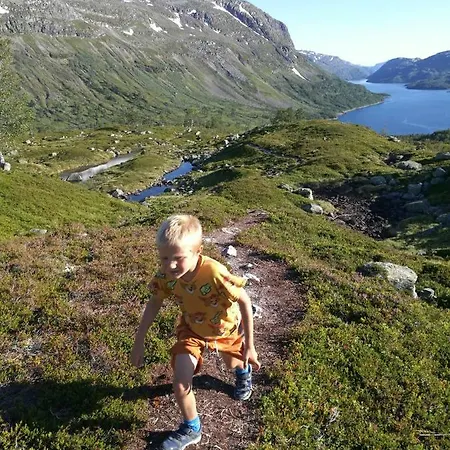 펜션 Ein Heilt Spesiell Lave I Røldal