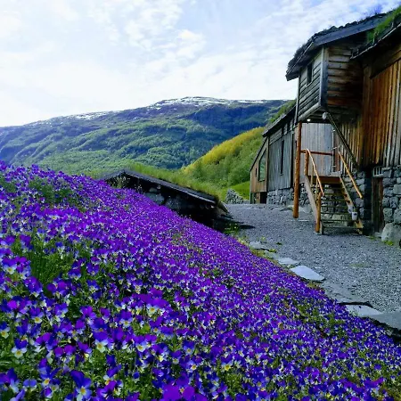 Semesterbostad Ein Heilt Spesiell Lave I *
